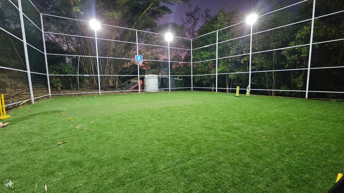 Cricket Turf